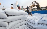 Cơ hội khởi sắc cho xuất khẩu gạo Việt từ nay tới cuối năm