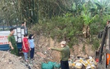 Thái Nguyên: Tiêu hủy gần 1 tấn chân gà rút xương và cá nục không rõ nguồn gốc