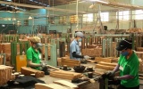 Ngành gỗ Việt Nam và bài toán thích ứng trước lộ trình EUDR