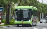 Hà Nội tiếp tục đưa thêm 52 xe buýt điện, nâng tổng số phương tiện xanh lên 797 xe