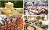 Xuất khẩu nông lâm thủy sản đạt 23 tỷ USD trong 4 tháng