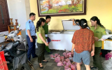 Thanh Hóa: Phát hiện 290 cá thể cò hương cấp đông chờ đưa đi tiêu thụ
