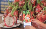 Truy xuất nguồn gốc nông sản: “Hạ tầng mềm” để bứt phá xuất khẩu bền vững