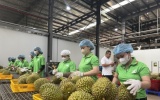 Nông sản Việt thích ứng Nghị định 280 và bài toán xuất khẩu 73 tỷ USD