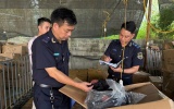 Hải quan phát hiện hơn 1.900 vụ buôn lậu, hàng giả trong một tháng