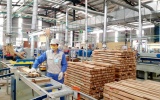 Phòng vệ thương mại trở thành 'lá chắn' để doanh nghiệp Việt xuất khẩu bền vững