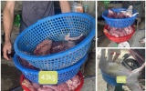 Thanh Hóa khởi tố 3 đối tượng mua bán, giết mổ lợn dịch bán ra thị trường