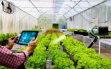 Phấn đấu đến năm 2030, cả nước có 500 tổ hợp tác ứng dụng công nghệ cao vào sản xuất