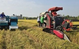 Thúc đẩy lúa gạo phát thải thấp, chìa khóa nâng tầm giá trị hạt gạo Việt