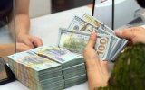 Vi phạm đăng ký doanh nghiệp có thể bị phạt đến 100 triệu đồng