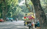 Dự báo thời tiết ngày 31/7: Bắc Bộ hửng nắng, có mưa dông về chiều tối