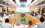 Đà Nẵng thúc đẩy hợp tác quốc tế, đưa sâm Ngọc Linh vươn tầm thương hiệu toàn cầu