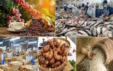 Xuất khẩu nông, lâm, thủy sản tăng trưởng ấn tượng, đạt gần 42,8 tỷ USD