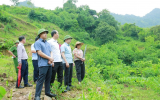Thanh Hóa: Nước suối Xủ chuyển màu bất thường, địa phương đề nghị xác định nguyên nhân 