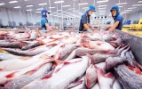 Việt Nam sẽ kiểm tra doanh nghiệp chế biến xuất khẩu thuỷ sản sang châu Âu