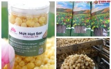 Đánh thức vùng đất trũng bằng khát vọng xây dựng thương hiệu Sen xứ Thanh