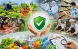 Lào Cai: Tăng cường tuyên truyền chính sách Luật An toàn thực phẩm (Sửa đổi)