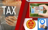 Mã số thuế vẫn “sống” sau khi doanh nghiệp đóng cửa: Cần làm gì để tránh rủi ro?