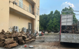 Vụ vận chuyển hơn 18m³ gỗ từ Thanh Hóa ra Hưng Yên: Xác định thuộc nhóm IA