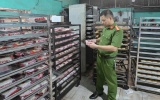 Ninh Bình: Tăng cường kiểm tra, kiểm soát thị trường Tết Trung thu 2026