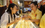 Giá vàng hôm nay 8/10: Vàng thế giới rơi thẳng đứng, SJC chịu áp lực giảm