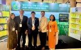 Gạo ST25 Việt Nam giành giải nhì cuộc thi 'Gạo ngon nhất thế giới 2026' tại Philippines