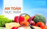 Chủ động giám sát mối nguy ô nhiễm thực phẩm, phòng ngừa ngộ độc