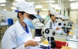 Chính phủ ban hành cơ chế đột phá thu hút nhân tài đổi mới sáng tạo dữ liệu