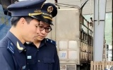 Hải quan kiến nghị tháo gỡ vướng mắc đối với urê nhập khẩu