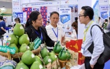 HCMC Export 2026: Đòn bẩy đưa hàng Việt vươn ra thị trường quốc tế