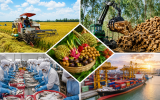 Xuất khẩu nông, lâm, thủy sản đạt gần 63 tỷ USD trong 10 tháng