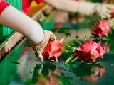 Tháo gỡ khó khăn, vướng mắc cho ngành hàng thanh long, hồ tiêu xuất khẩu 