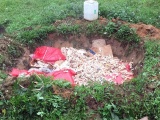Quảng Ninh: 600 kg chân gà đang phân phân hủy trên đường đi tiêu thụ