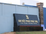 An Việt Phát Phú Thọ bị xử phạt, yêu cầu dừng hoạt động nhưng không chấp hành