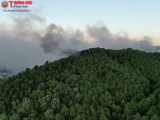 Bắc Trung Bộ liên tiếp xảy ra cháy rừng