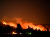 California sử dụng trí tuệ nhân tạo để phát hiện cháy rừng