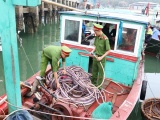 Chấm dứt tình trạng tàu cá khai thác hải sản trái phép
