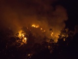 Cháy lớn ở núi Bà Hỏa nằm giữa TP Quy Nhơn