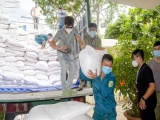 Chính phủ hỗ trợ gạo cho tỉnh Tuyên Quang và Quảng Trị trong thời gian giáp hạt
