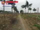 Hà Nội: Đất của dự án khu nhà ở Hoàng Vân ‘đem’ làm nghĩa trang (kỳ 2)