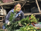 Hà Nội: Hoa tươi Tây Tựu giảm giá sâu giữa đại dịch Covid-19