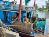 Hà Tĩnh: Người dân gia cố ao nuôi, chằng néo cây “đặc sản” trước bão Kompasu