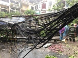 Hình ảnh phố ngập, cây đổ do ảnh hưởng của bão số 3 tại Hà Nội