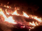 Lâm Đồng: Ngọn lửa bùng phát trên núi Đại Bình, hơn 3ha rừng thông bị cháy