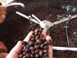 Phát triển sản xuất, chế biến cà phê Việt Nam theo chuỗi giá trị