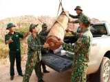Quảng Ninh: Phát hiện quả bom nặng 450kg