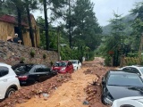 Sóc Sơn (Hà Nội): Xử lý các vi phạm TTXD trong phạm vi rừng phòng hộ sau vụ 'đất sạt vùi bánh ô tô'
