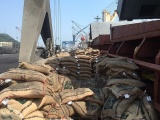 Thanh Hóa: Bắt giữ 41 tấn gạo không có nguồn gốc xuất xứ