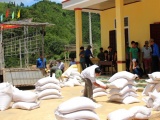 Thanh Hóa: Khởi tố bí thư Chi bộ kiêm Trưởng thôn tham ô gần 5 tấn gạo