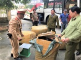 Thừa Thiên Huế: Xe khách chở hàng lậu bỏ chạy khi bị phát hiện